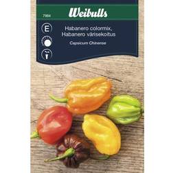 Weibulls Habanero Mix