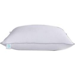 Martha Stewart 400 Thread-Count Down Pillow White (71.12x50.8cm)