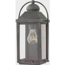 Hinkley Anchorage Small Wall light