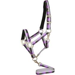 Gatsby Terra Fleece Padded Nylon Halter with Matching Lead Oversize