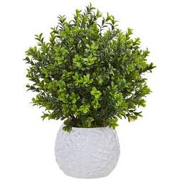 Boxwood Evergreen Artficial Plant in White Vase Vase