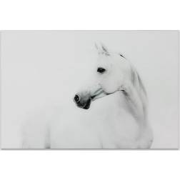 Empire Art Direct Blanco Stallion Horse Poster 48x32"