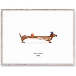 Paper Collective Doug the Dachshund 30x40 cm Poster