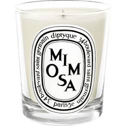 Diptyque Mimosa Scented Candle 6.7oz