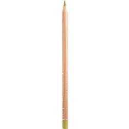 Professional Luminance Colored Pencils olive brown 50% 736