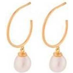 Pernille Corydon Ocean Dream Hoops - Gold/Pearls