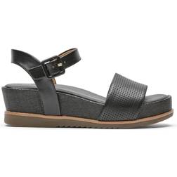 Rockport Delanie - Black