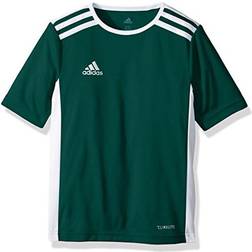Adidas Entrada 18 Short Sleeve Jersey Kids - Green Dark/White