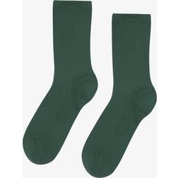 Colorful Standard Women Classic Organic Sock Emerald