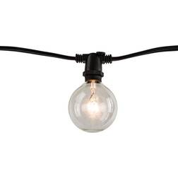 Bulbrite 810054 G16 Fairy Light 10