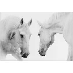 Empire Art Direct Reflection Horse Glass Wall Art Wall Decor 48x32"