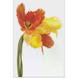 Empire Art Direct Orange Yellow Parrot Tulip on White Frameless Free Floating Tempered Glass Panel Graphic Wall Art Wall Decor 32x48"