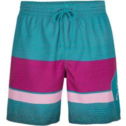 O'Neill Frame Block Mens Swim Shorts Multi