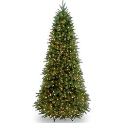 National Tree Company 9-ft. Pre-Lit ''Feel-Real'' Jersey Frasier Fir Artificial Christmas Green Christmas Tree