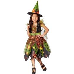 Rubies Light Up Fairy Witch Child Costume