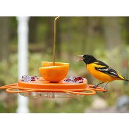 Birds Choice Oriolefest Bird Feeder