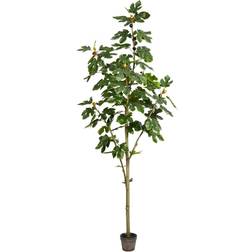 Vickerman 7 ft Artificial Potted Fig Tree Christmas Tree