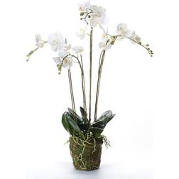 Emerald Artificial Orchid Plant with Moss White Kunstig plante