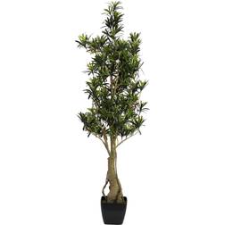 Europalms Podocarpus tree, artificial plant, 115cm Künstliche Pflanzen