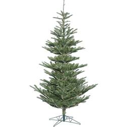 Vickerman 6' Alberta Spruce Artificial Unlit Unisex Christmas Tree