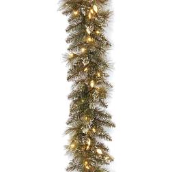 National Tree Company 9' Pre-Lit Glittery Bristle Pine Garland With Soft White Led Lights Green Green 9 Ft