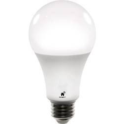 Qnect Smart bulb, E27, White CCT, WiFi
