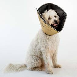 Four Paws Pet E-collar Comfy Cone Tan