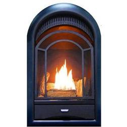 Procom Dual-Fuel Ventless Gas Fireplace Insert, Arched Door, T-Stat Control, 170172
