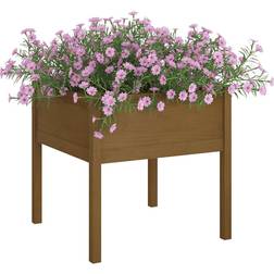 vidaXL Garden Planters 2 70x70x70cm