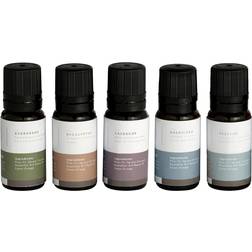 Mr. Steam MS ESSENTIAL 5 AromaSteam Essential Oils 5 Pack 10mL