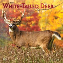 2023 BrownTrout Tailed Deer Calendar