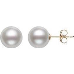 Bloomingdale's Cultured Stud Earrings - Gold/Pearls