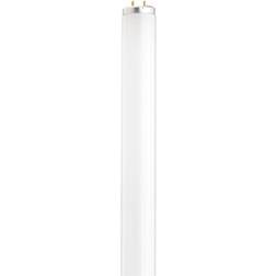 Sylvania 22078 F20T12/CW Straight T12 Fluorescent Tube Light Bulb