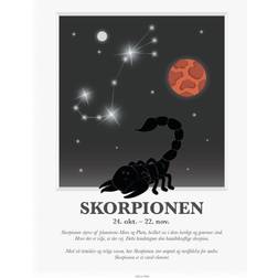 Kids by Friis The Scorpion Zodiac Poster 30x40cm