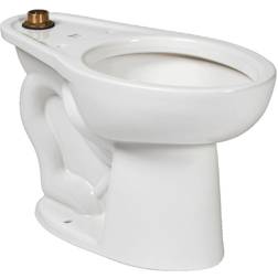 American Standard 3461001.020 Madera ADA Elong Toilet W/Everclean, 1.1-1.6GFP