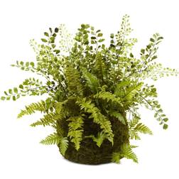 Nearly Natural Mixed Fern with Twig & Moss Basket