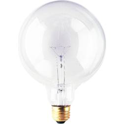 Bulbrite 40-Watt G40 Clear Dimmable Warm White Light Incandescent Light Bulb (12-Pack)