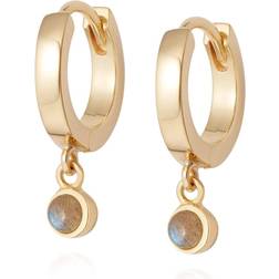 Daisy London Stone Drop Hoop Earrings