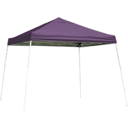 ShelterLogic 10 ft. D ft. W Slant-Leg Pop-Up Canopy