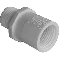 Charlotte Pipe 1/2 in. x 1/2 in. PVC Schedule 40 MPT x FPT Riser, White