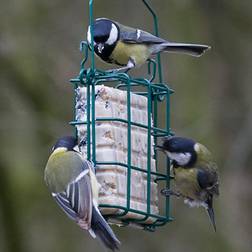 Cj Peanut Cake Feeder Mesh Green