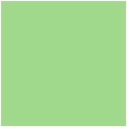 Savage Universal Seamless Background Paper Mint Green 7x 36ft