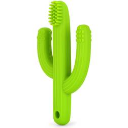 Cactus Teether Baby Toothbrush, Self-Soothing Pain Relief Soft Baby Teething Toys, Training Kids Toothbrush for Babies, Toddlers, Infants, Boy and Girl, Natural Organic BPA Free(Green)