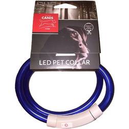 Active Canis USB LED Collar Blue