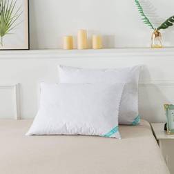 Waverly Antimicrobial Blend Down Pillow White