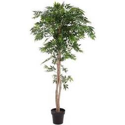 Europalms Ficus Longifolia. 165 Cm. Künstliche Pflanzen