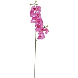 Europalms Orkidé Stikling. Lilla. 100 Künstliche Pflanzen