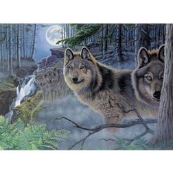 Mystical Moonlight Adult Paint By Number Kit 15-3/8 inches X11-1/4 inches