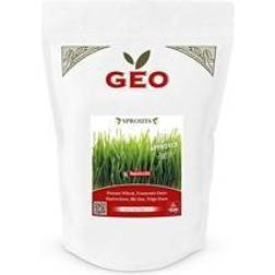 Geo Vetegräsfrö EKO 600 gram