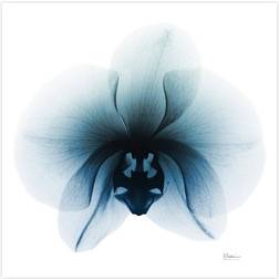 Empire Art Direct Glacial Orchid Unframed Free Floating Glass Wall Decor